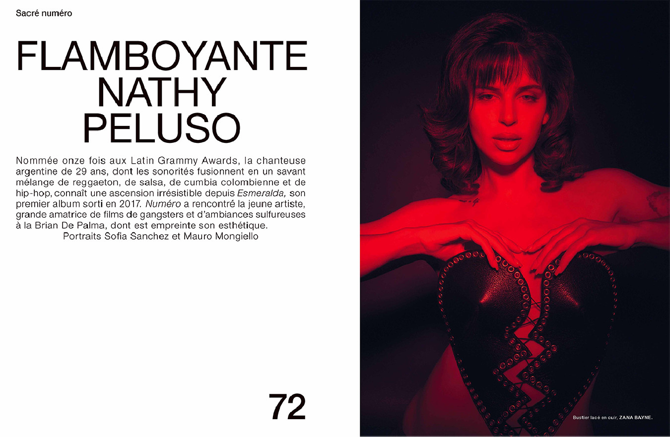 Numéro 248 – Image 2