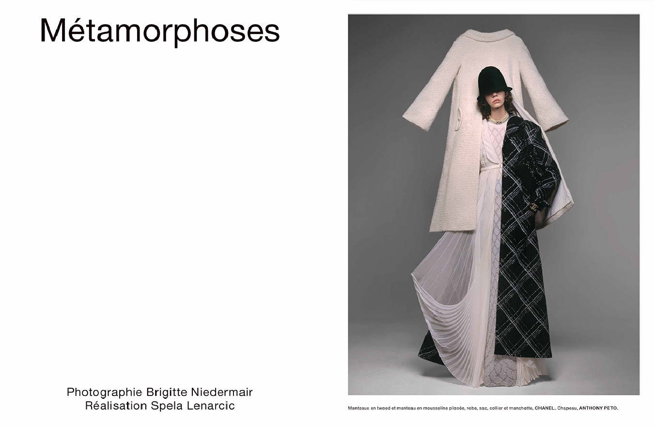 Numéro 248 – Image 5