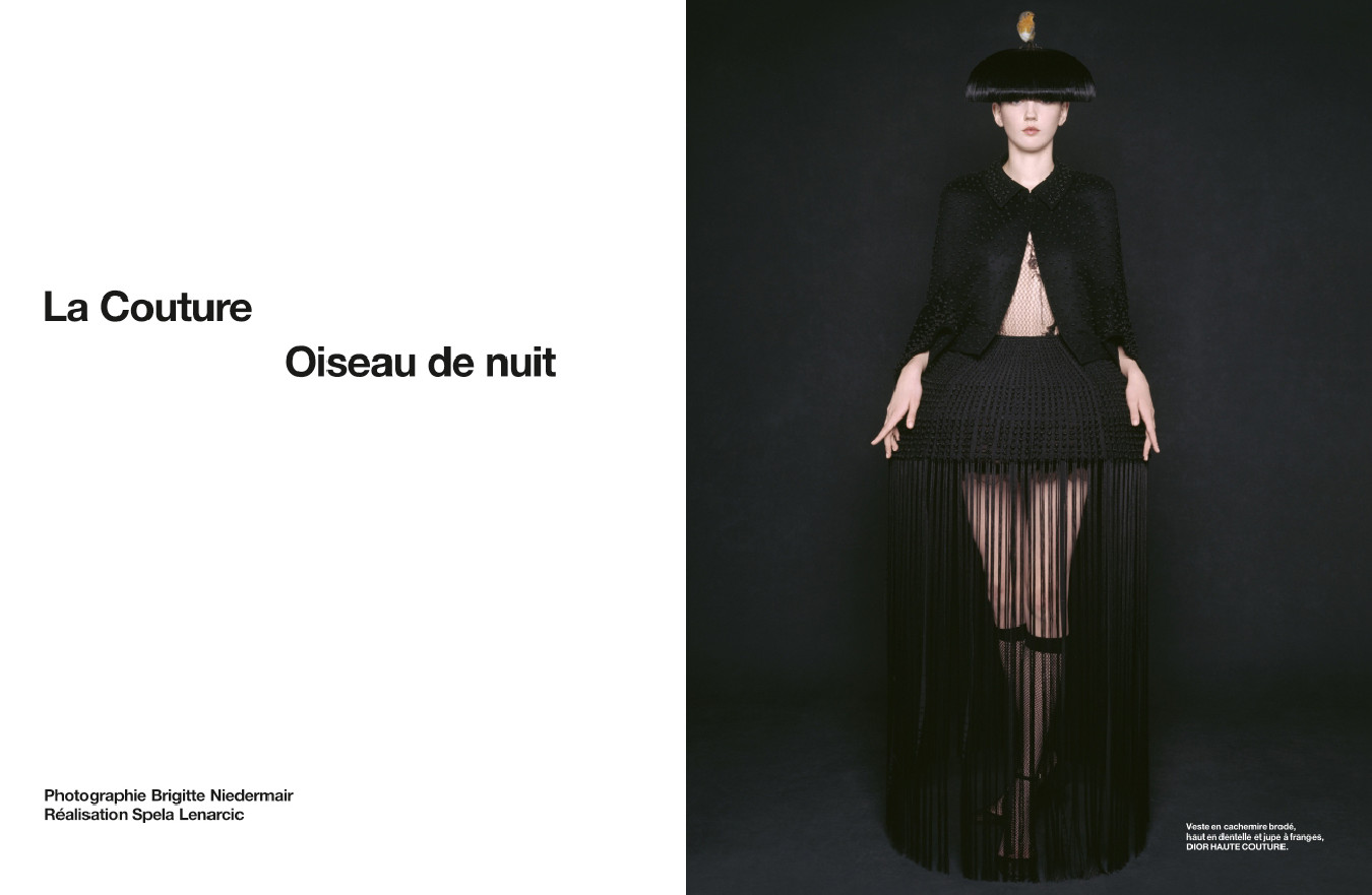 Numéro 252 – Image 5