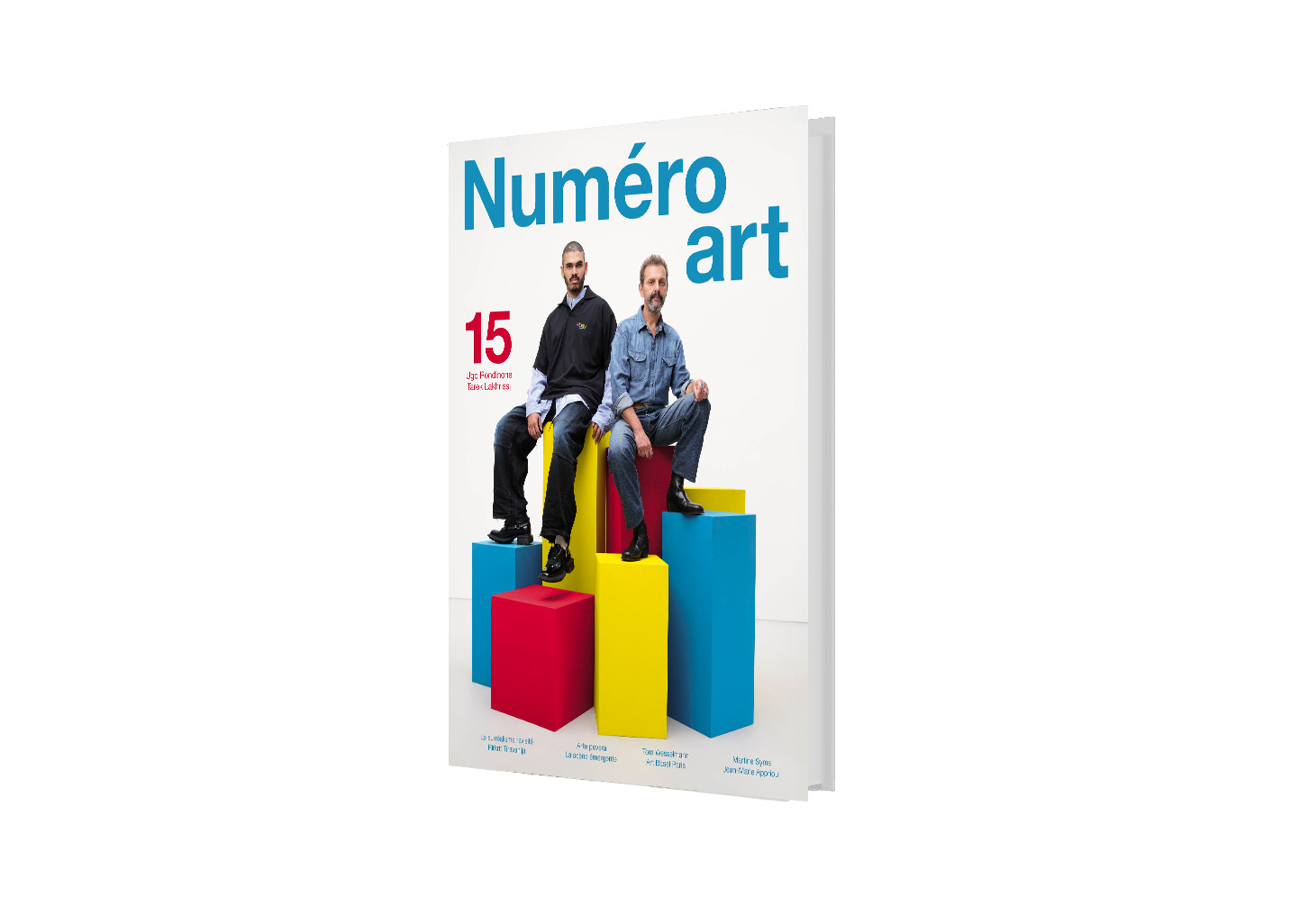numéro art 15 (copie)