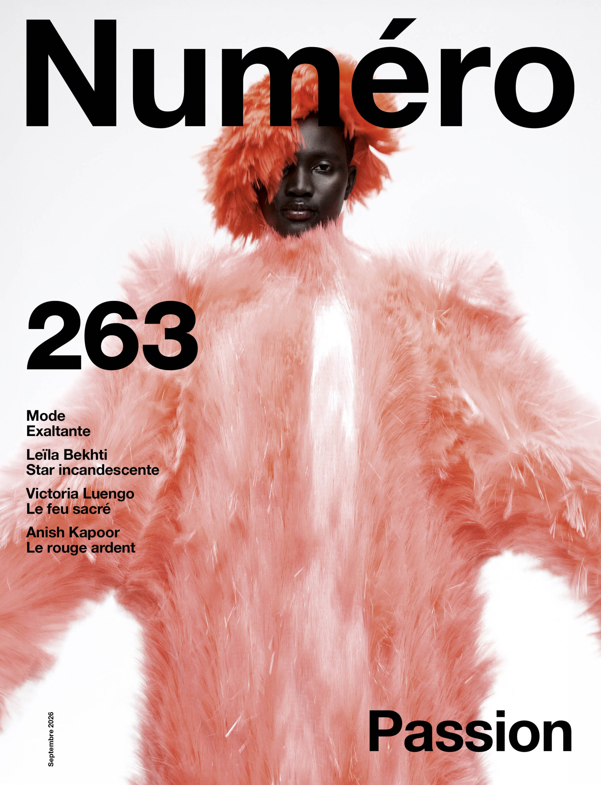 numéro 263