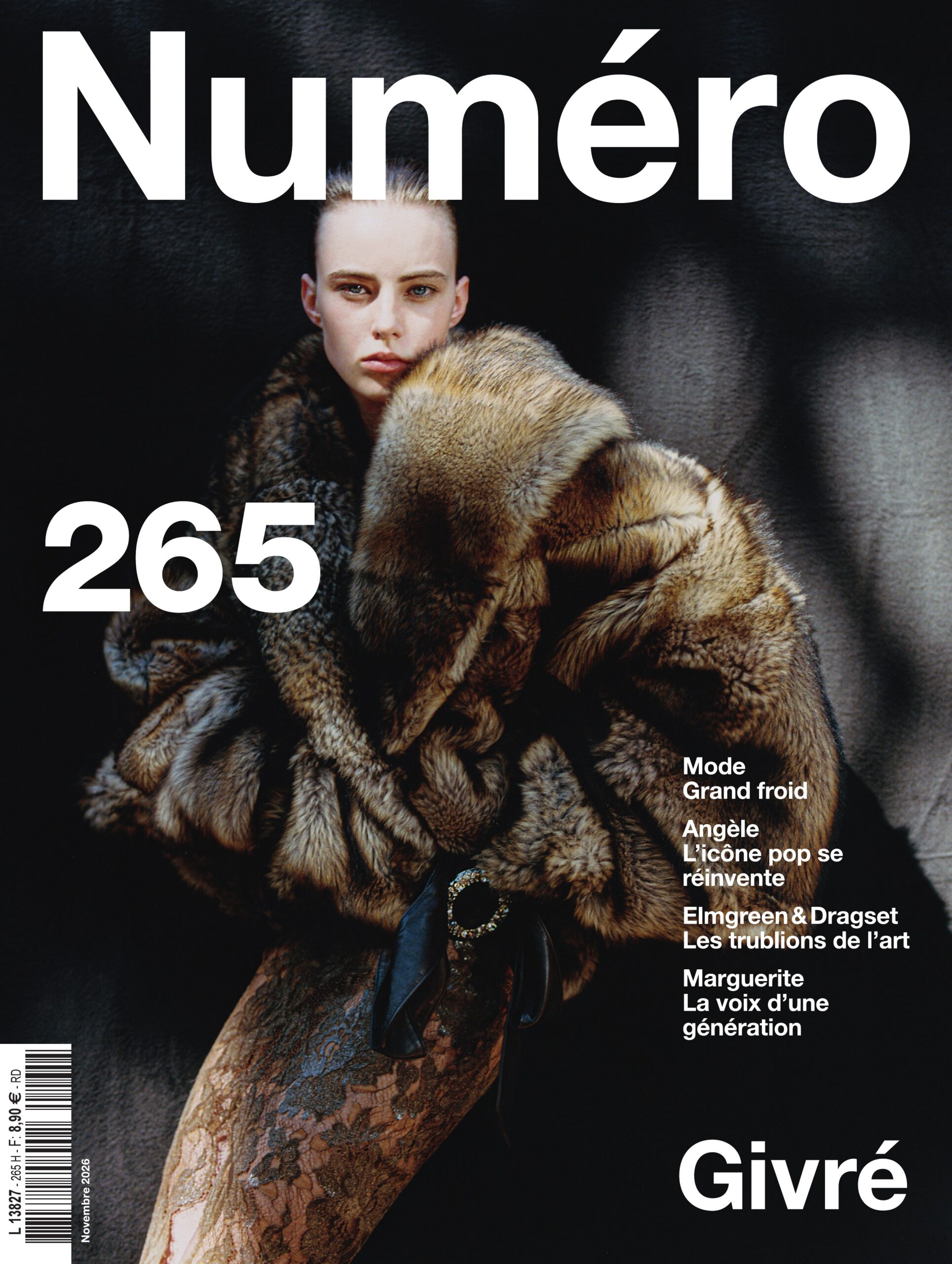 numéro 265 – givré | couverture par brigitte niedermair (copie)